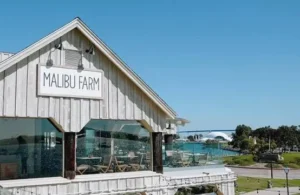 Malibu Farm San Diego