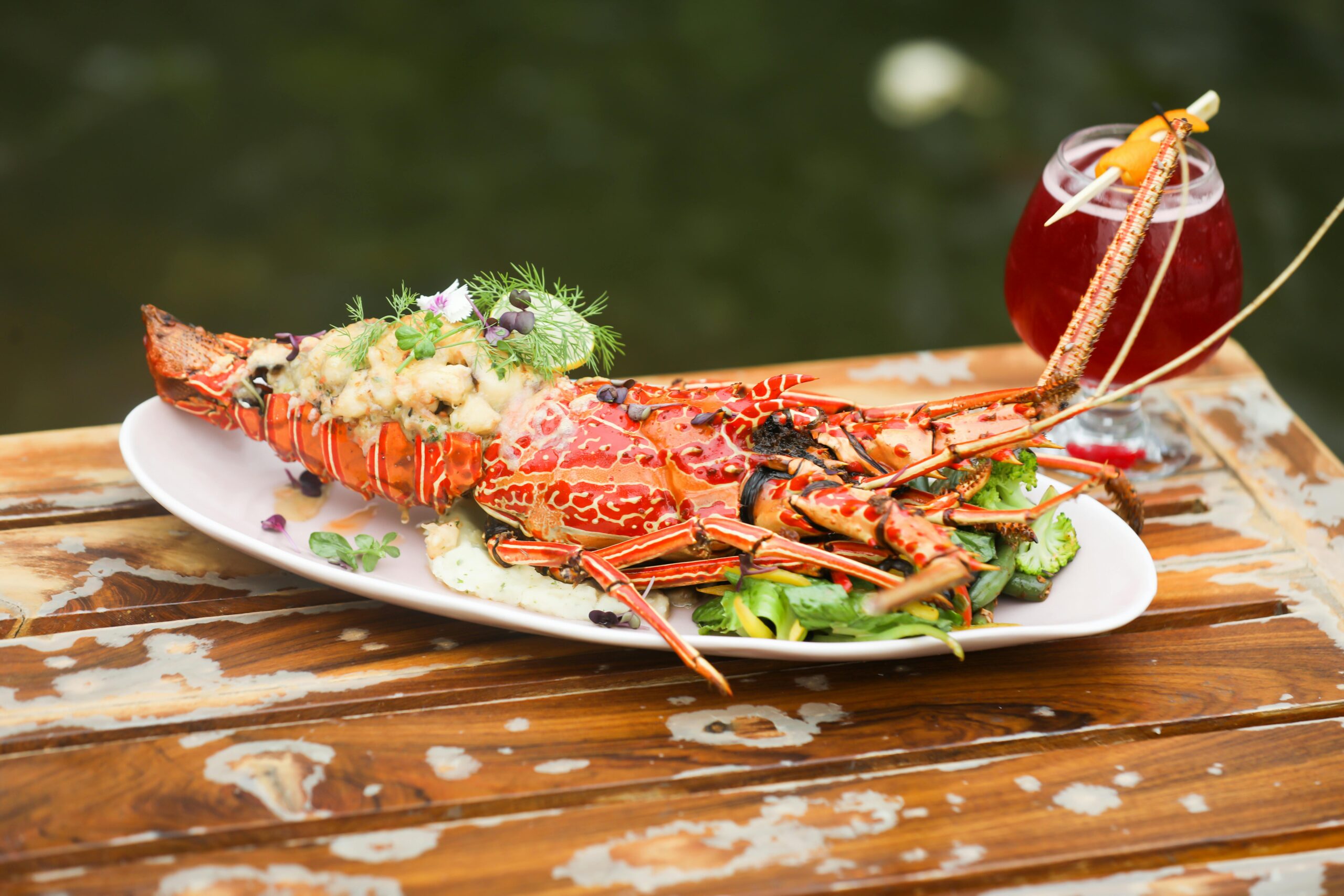 Best Seafood Restaurants In Del Mar